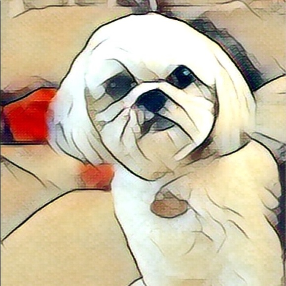 Meet your Posher, Nancy - Picture 1 of 1